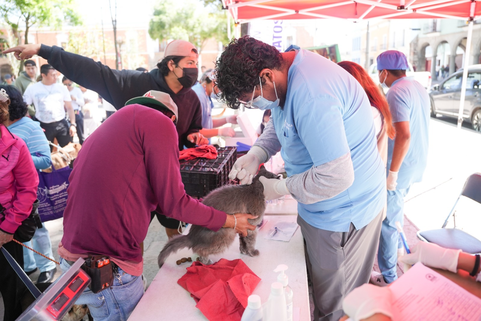 Ayuntamiento de Tlaxcala y SESA acercarán en julio nueva campaña gratuita de esterilización y vacunación canina y felina
